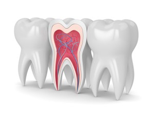 Root Canal Therapy Warren, MI